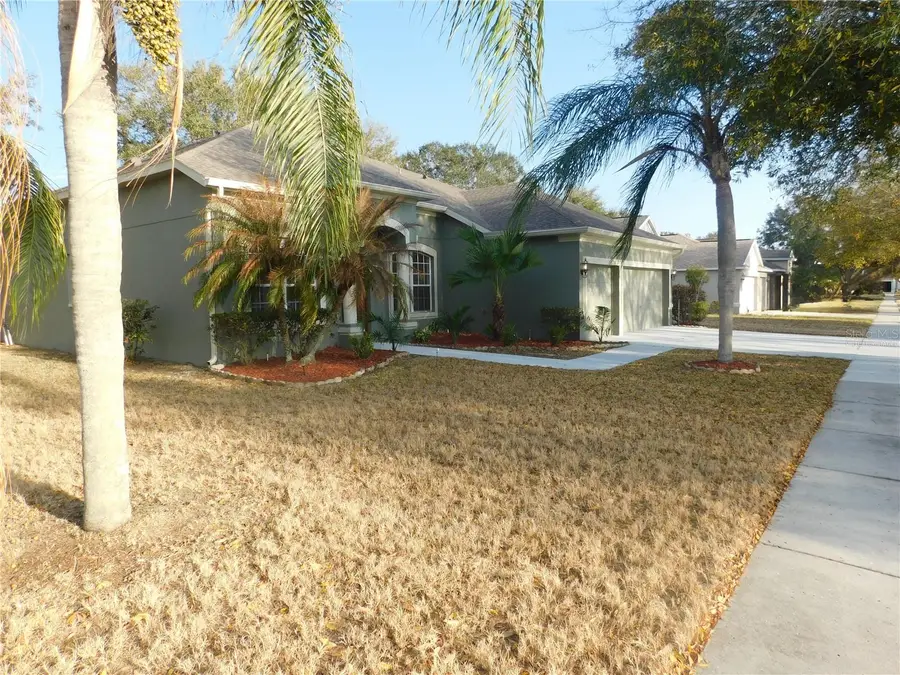 12902 Cattail Shore Lane, Riverview, FL 33579 - #2