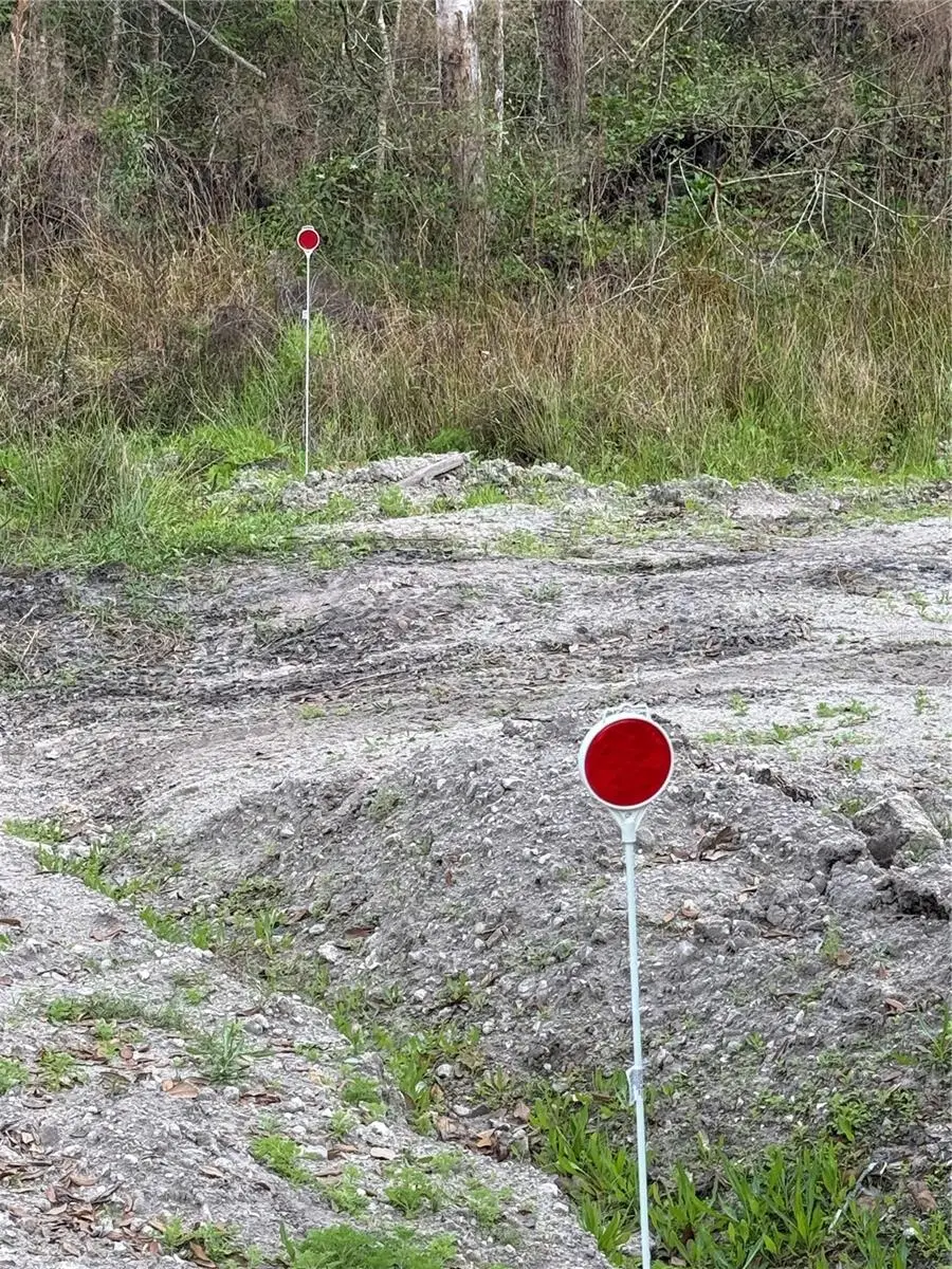 4021 Bruton Road, Plant City, FL 33565 - #3