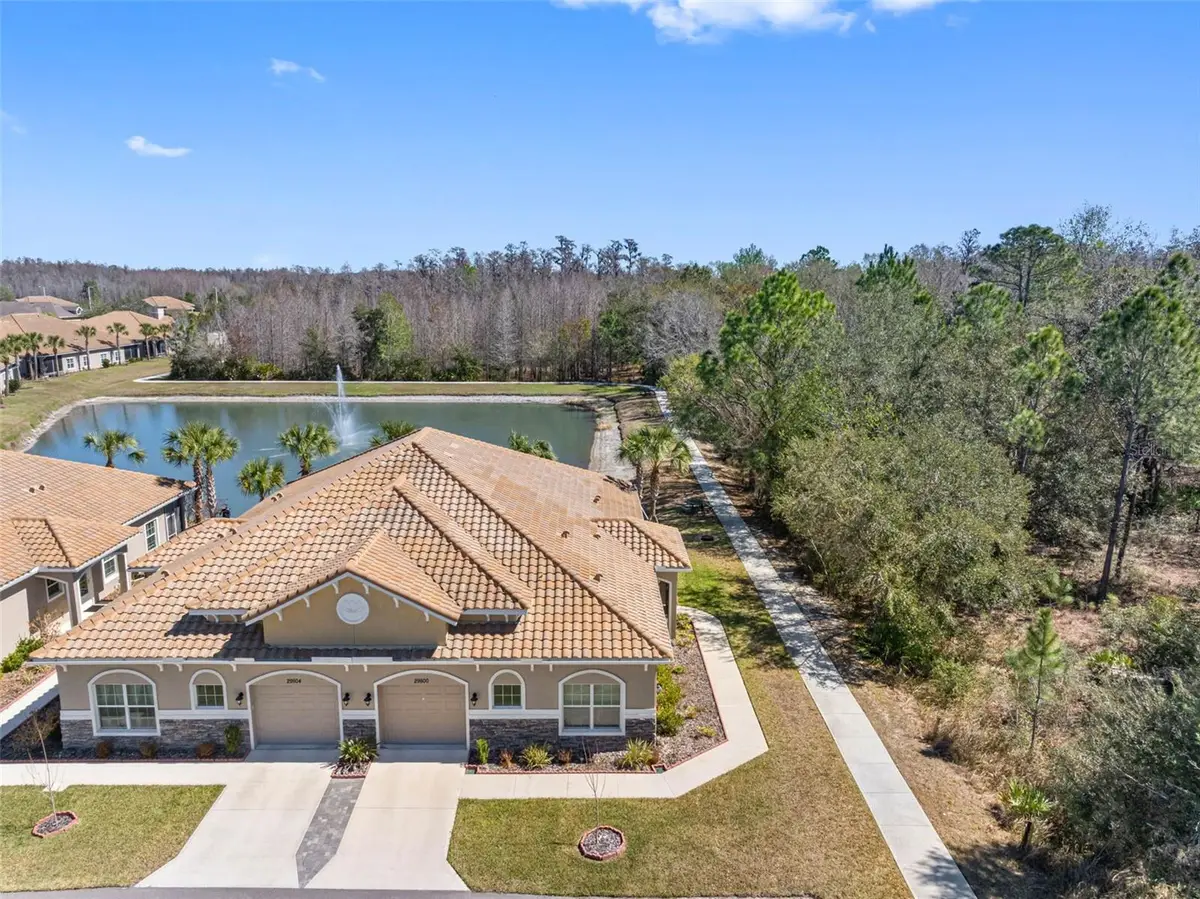 29800 Anand Vihar Drive, Wesley Chapel, FL 33543 - #1