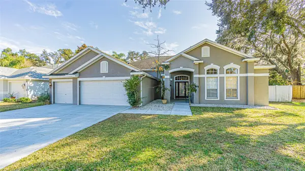 4106 Imperial Eagle Drive, VALRICO, FL 33594