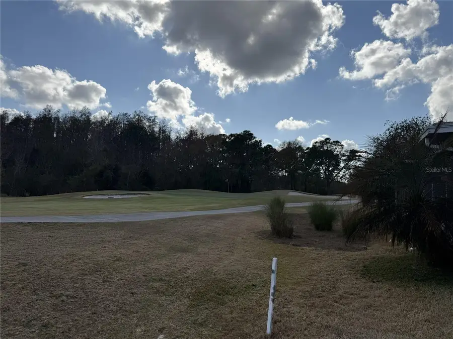 29402 Princeville Drive, San Antonio, FL 33576 - #3