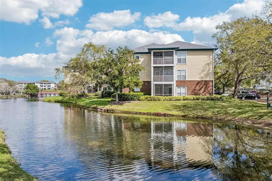 4211 Chatham Oak Court #123, Tampa, FL 33624 - #2