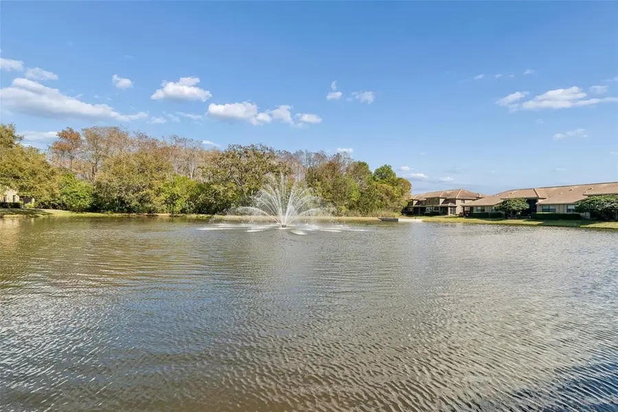 4813 Michelle Lane, Palm Harbor, FL 34684 - #2