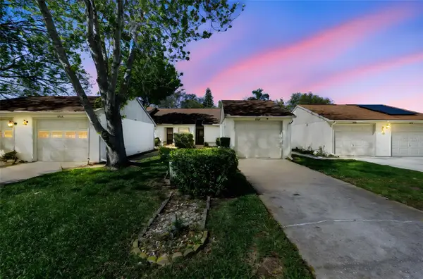 11717 Spring Tree Lane, PORT RICHEY, FL 34668