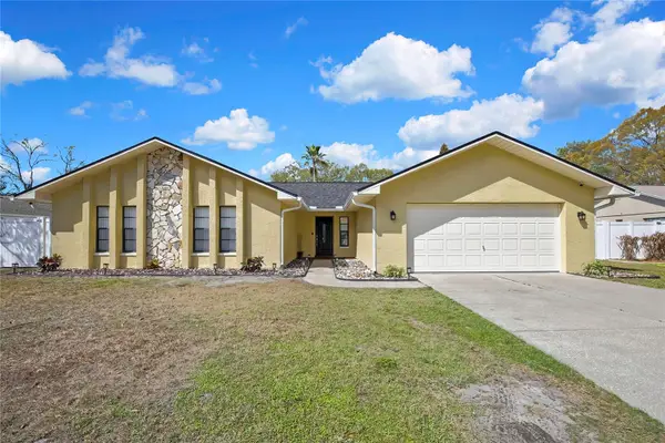 3743 Meridean Place, LAND O LAKES, FL 34639
