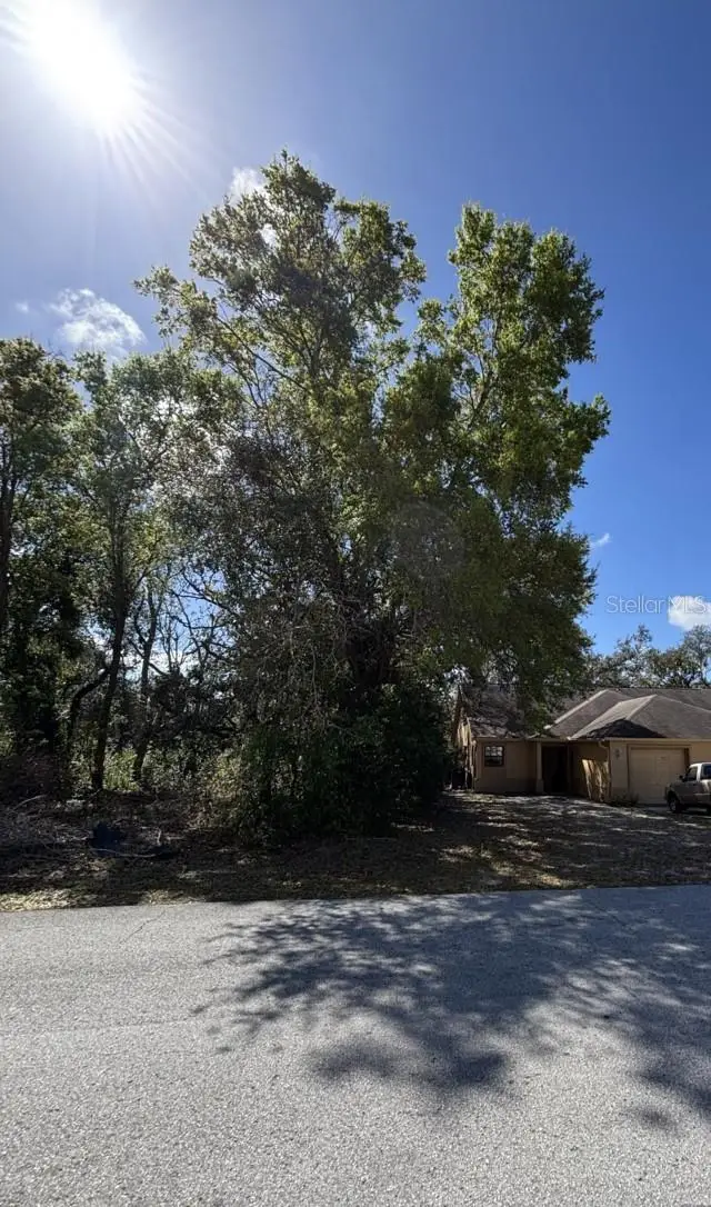 Canterbury Street, Spring Hill, FL 34606 - #2