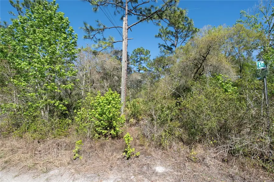 12934 Tanner Road, New Port Richey, FL 34654 - #2