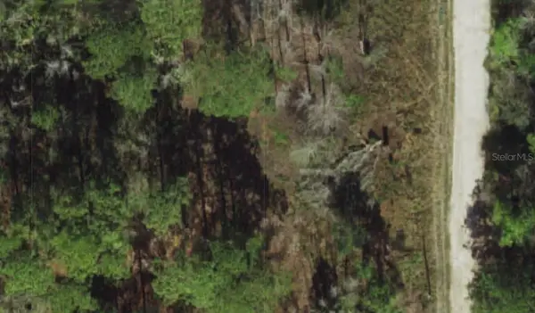 Powell Street, NEW PORT RICHEY, FL 34654