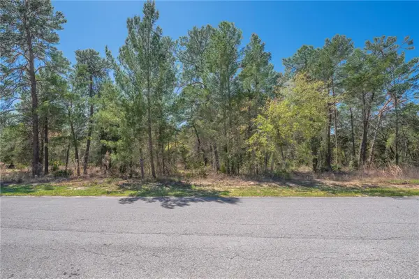 8 Heuchera Court E, HOMOSASSA, FL 34446