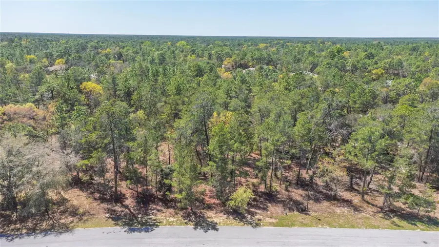 8 Heuchera Court E, Homosassa, FL 34446 - #3