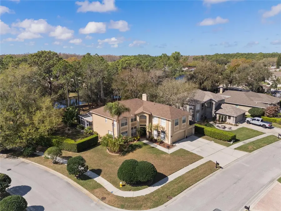 4202 Rotherham Court, Palm Harbor, FL 34685 - #3