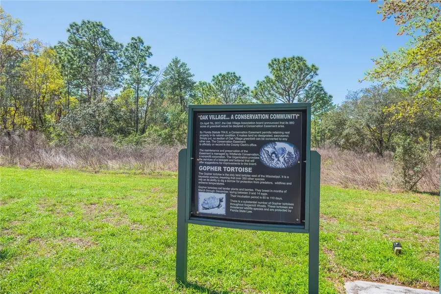 10 Heuchera Court E, Homosassa, FL 34446 - #2