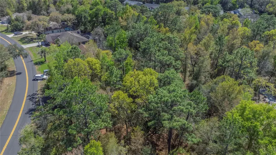 1 Pine Street, Homosassa, FL 34446 - #3