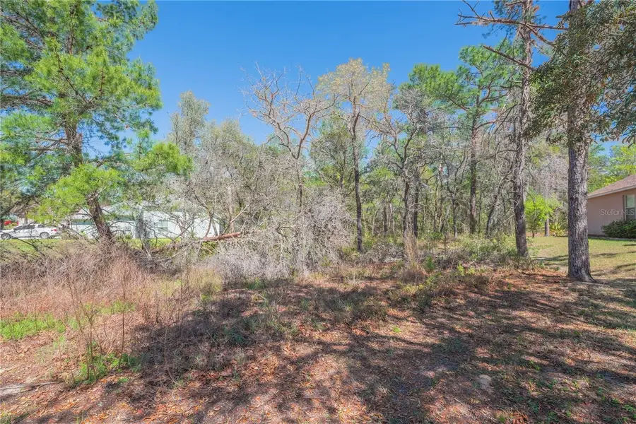 16 Iberis Court, Homosassa, FL 34446 - #3