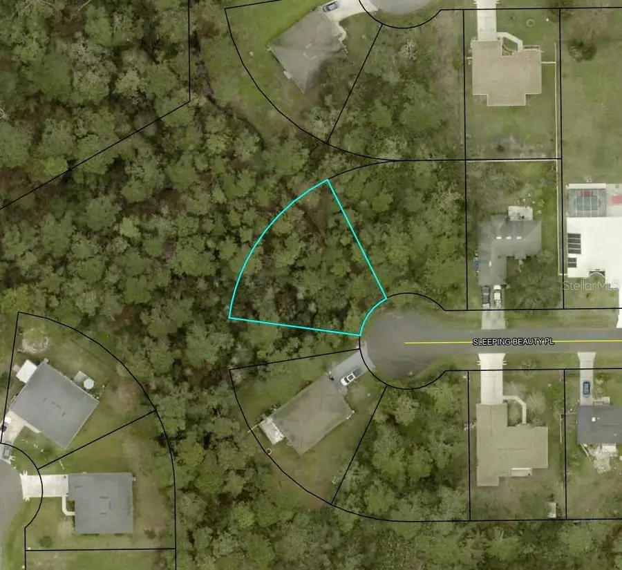 16 Sleeping Beauty Place, Palm Coast, FL 32164 - #2