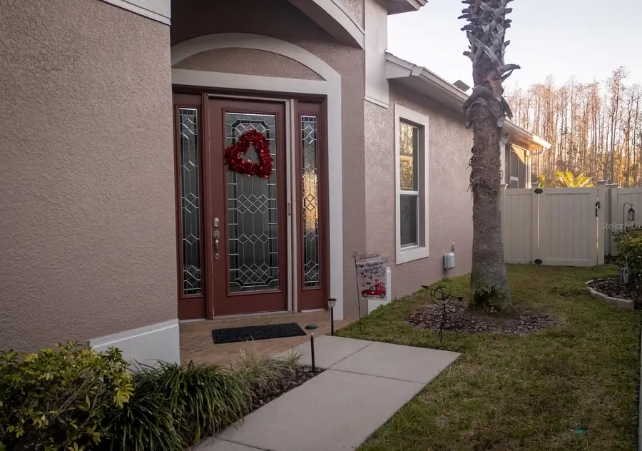 20748 Amanda Oak Court, Land O Lakes, FL 34638 - #3