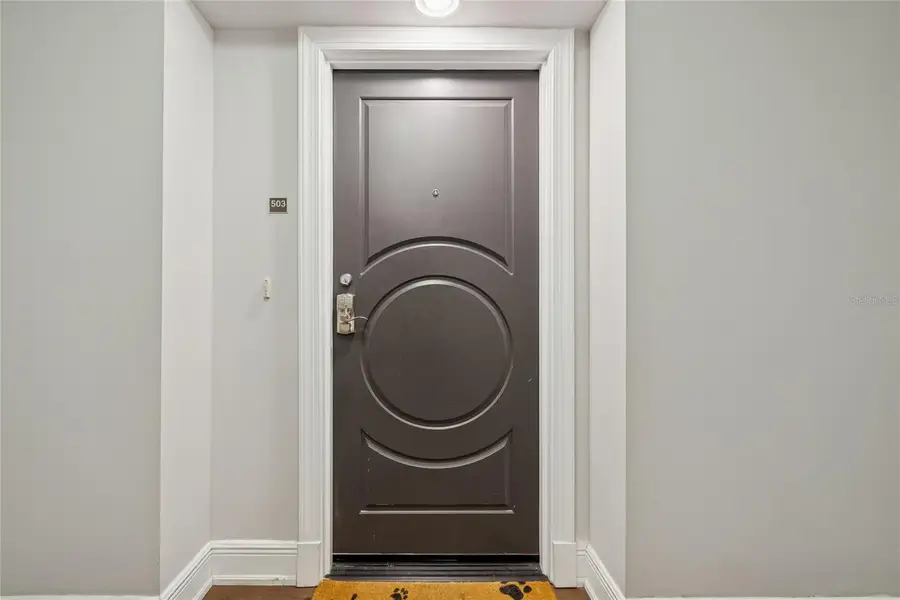 1227 E Madison Street #503, Tampa, FL 33602 - #3