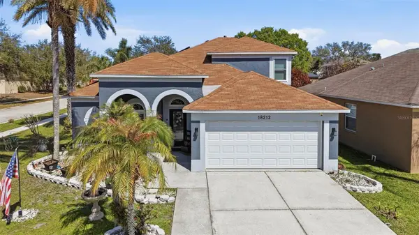 18212 Brookpark Drive, TAMPA, FL 33647