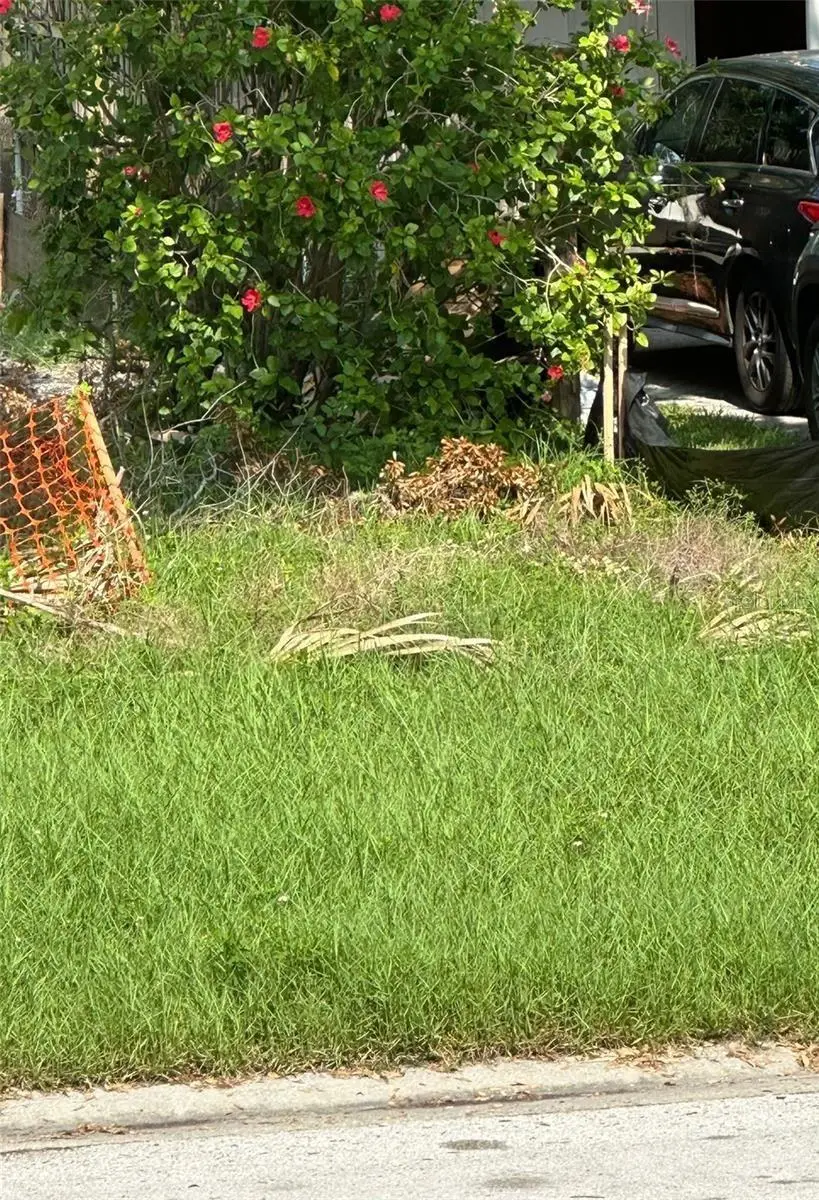 6813 Lyman Avenue, Tampa, FL 33610 - #2