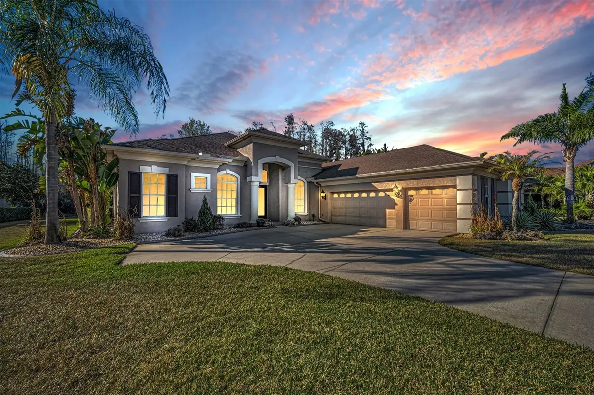 3305 Sheehan Drive, Land O Lakes, FL 34638 - #1