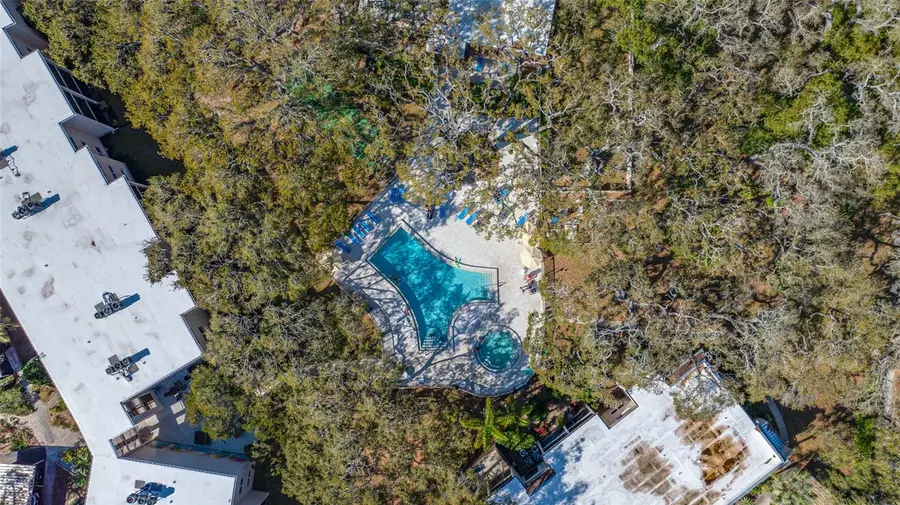 820 Virginia Street #206, Dunedin, FL 34698 - #3