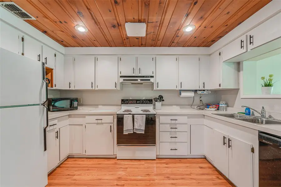 8585 W Miss Maggie Drive, Homosassa, FL 34448 - #2