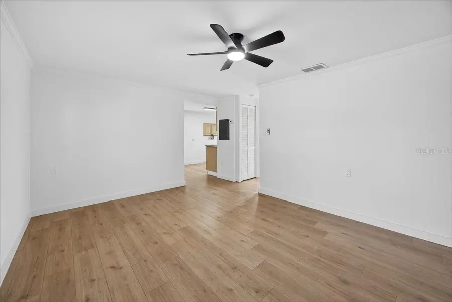 45806 Lake Street, Paisley, FL 32767 - #3