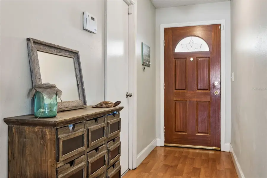 1443 Monte Lake Drive, Valrico, FL 33596 - #3