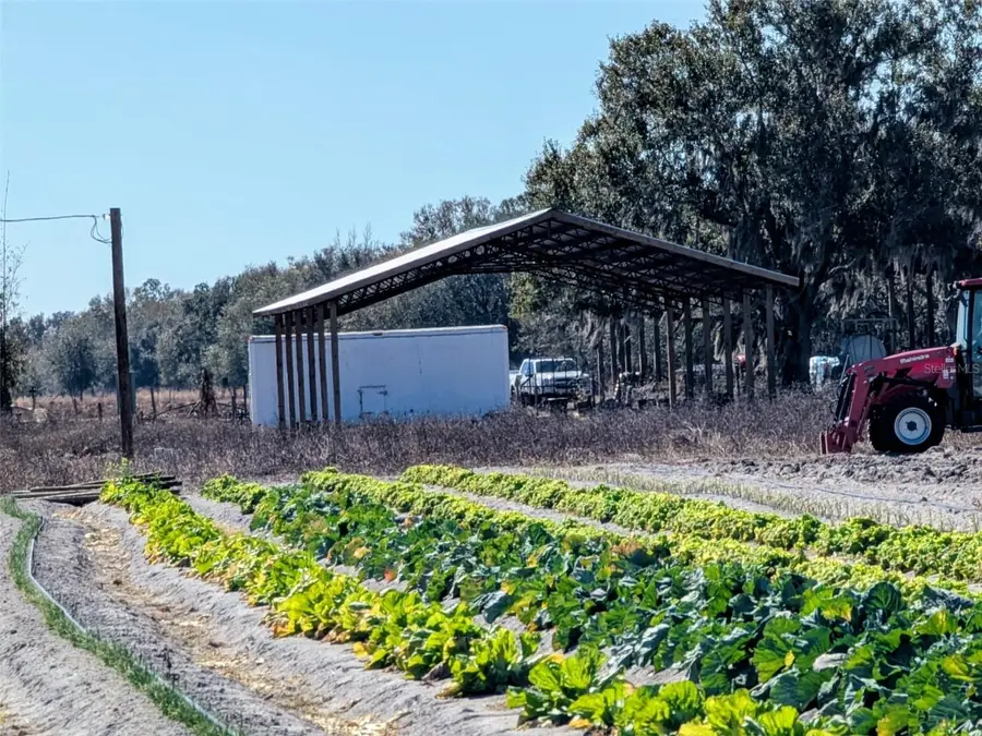 46683 Peeples Lane, Wauchula, FL 33873 - #3