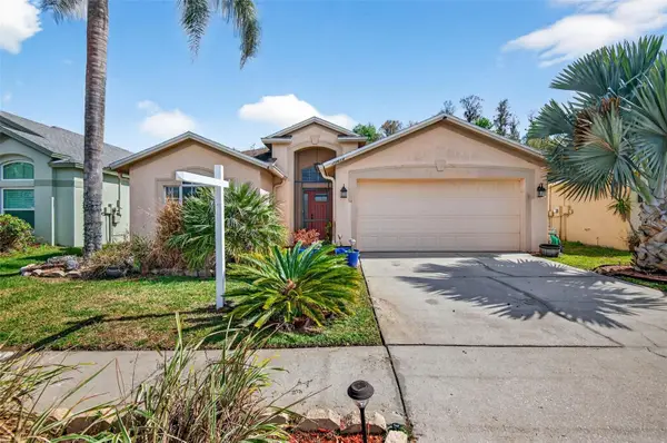 29454 Crossland Drive, WESLEY CHAPEL, FL 33543