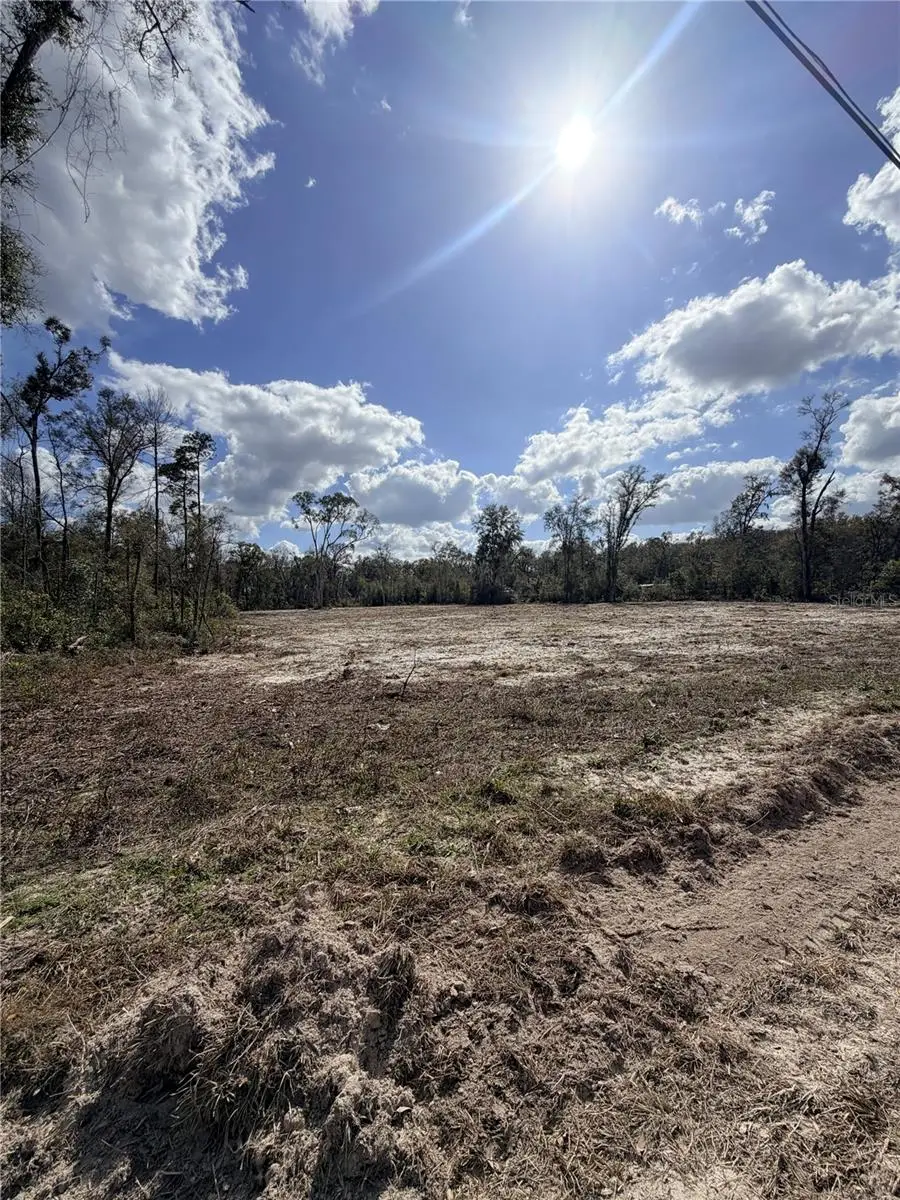 163 NE 159th Avenue, Old Town, FL 32680 - #3