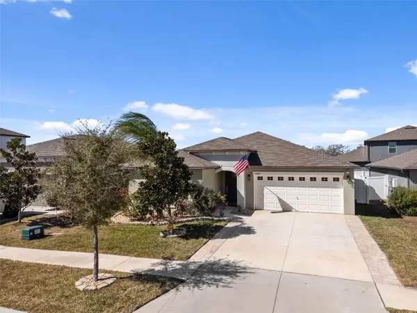 10387 Scarlet Skimmer Drive, RIVERVIEW, FL 33578