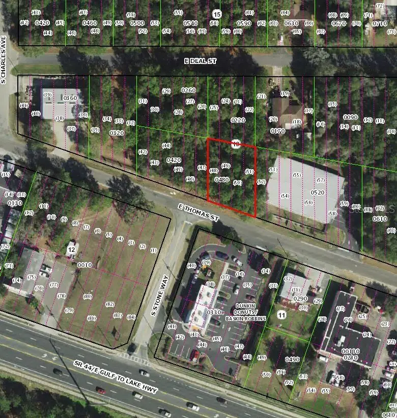 3081 E Thomas Street, Inverness, FL 34453 - #2