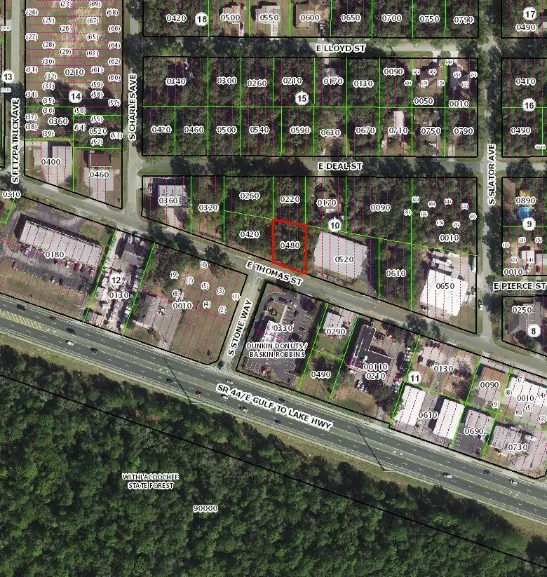 3081 E Thomas Street, Inverness, FL 34453 - #3