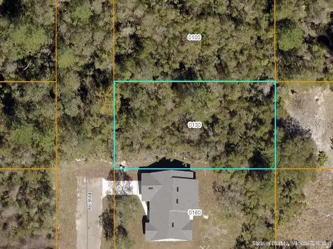 000 Pine Avenue, Orange City, FL 32763 - #1