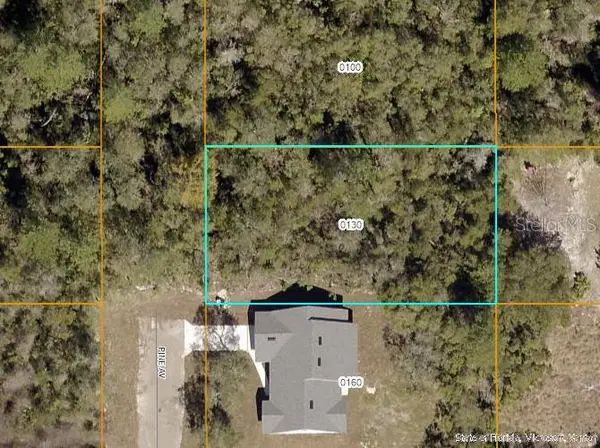 000 Pine Avenue, ORANGE CITY, FL 32763