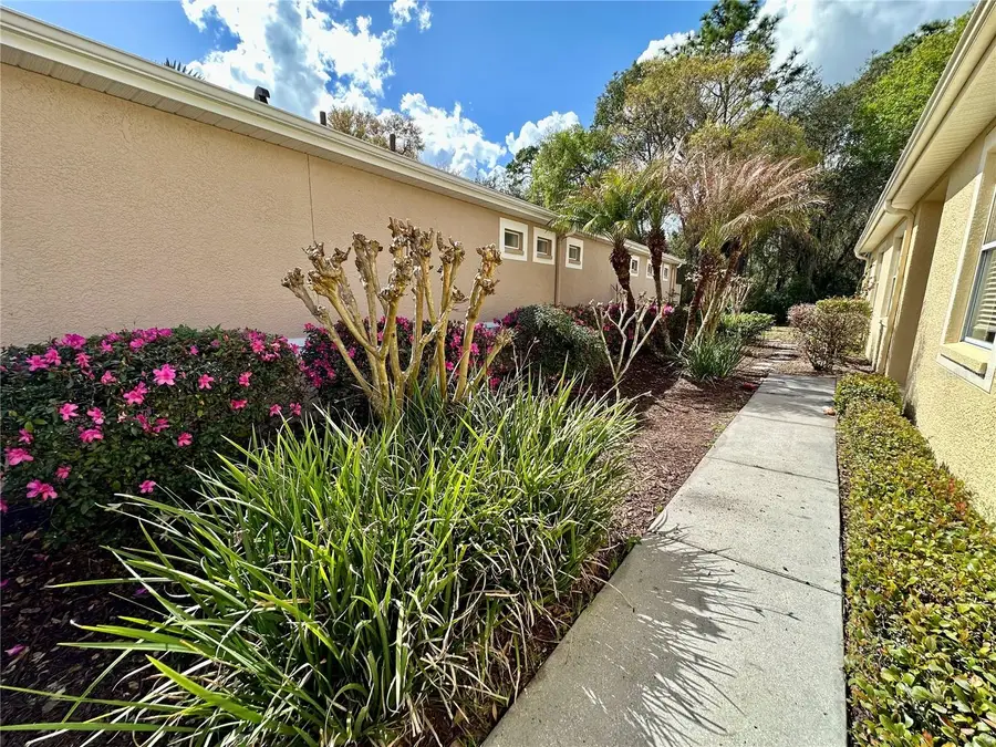 8137 Ponkan Road, Land O Lakes, FL 34637 - #3