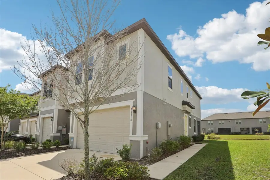 32010 Blue Passing Loop, Wesley Chapel, FL 33545 - #2