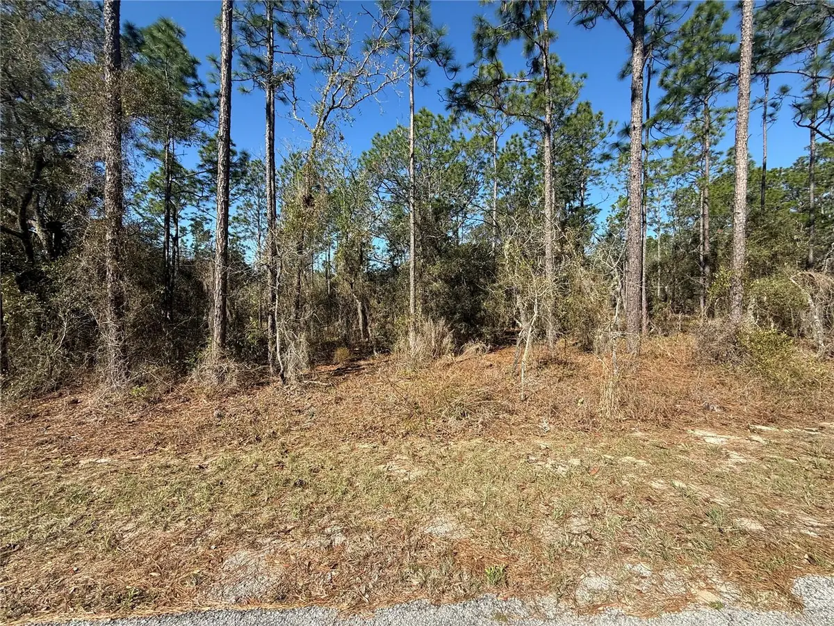 Lot 13 SE 129 Court, Dunnellon, FL 34431 - #1
