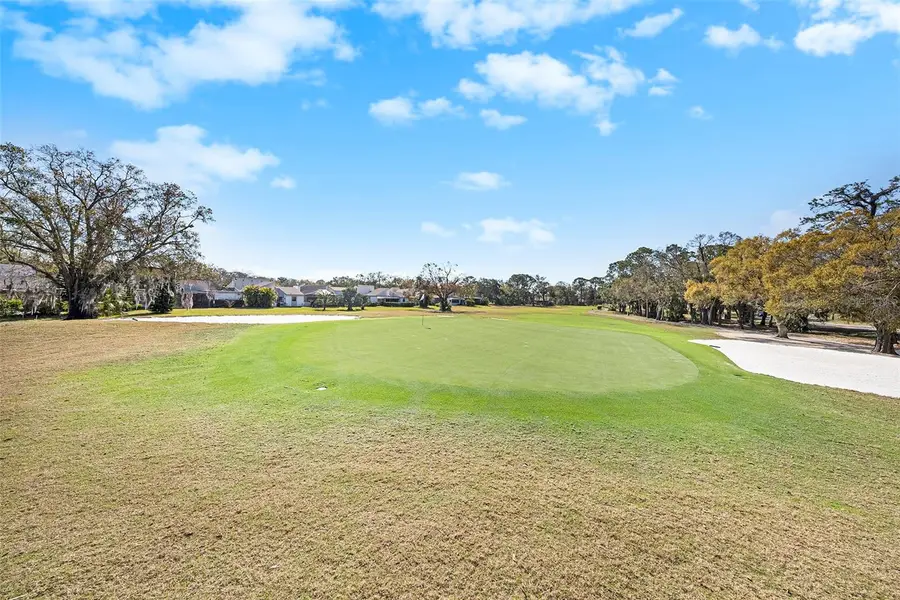 141 Lakeview Way #141, Oldsmar, FL 34677 - #2