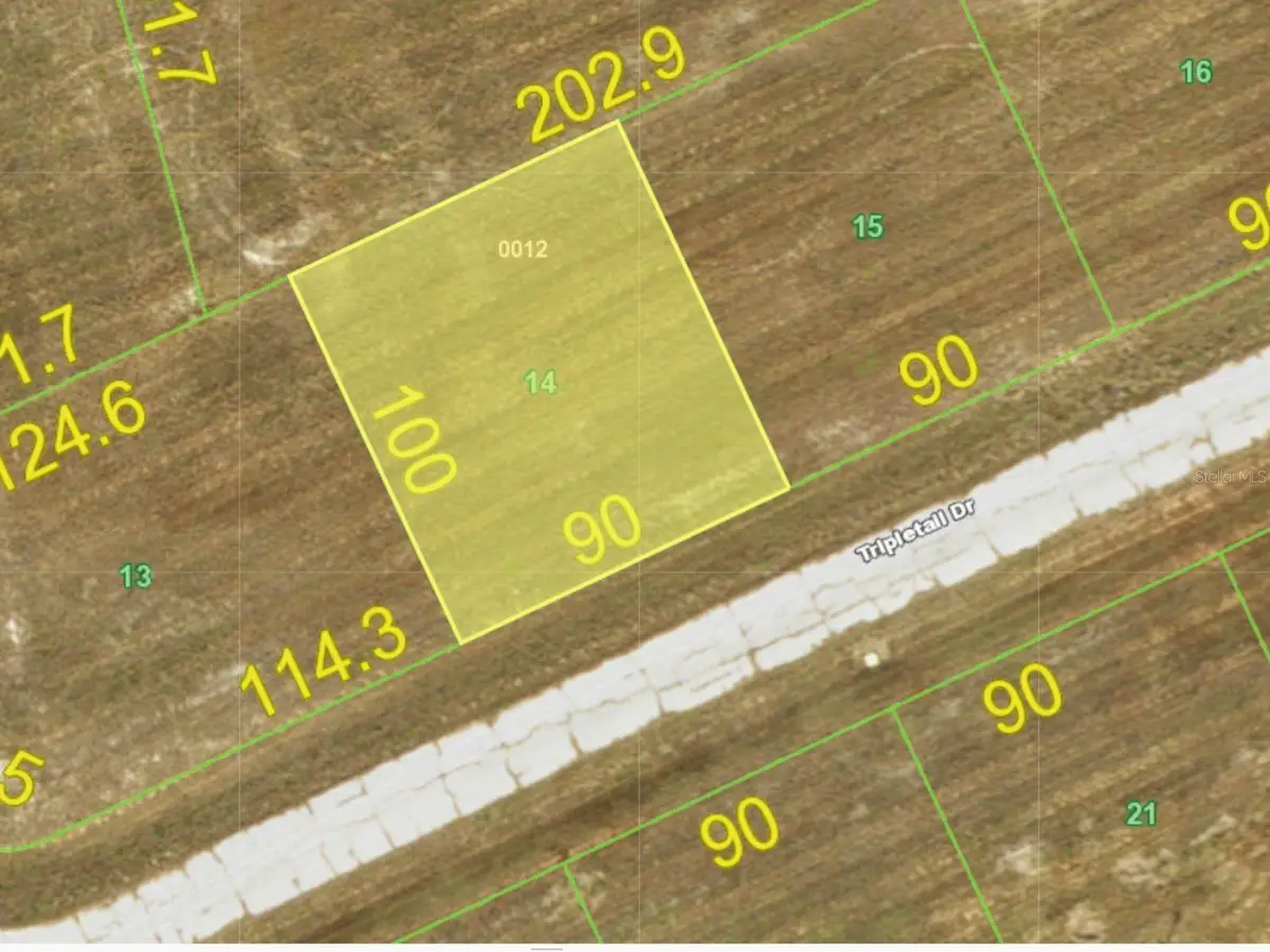 12394 Tripletail Drive, Placida, FL 33946 - #1