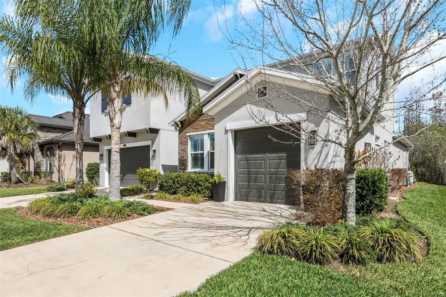 29494 Picana Lane, Wesley Chapel, FL 33543 - #3