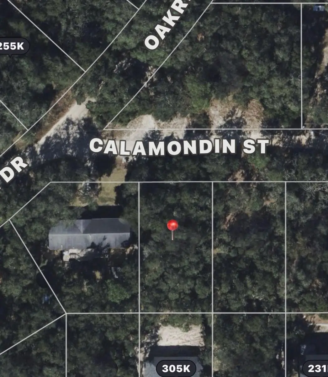 Calamondin St, Lady Lake, FL 32159 - #1