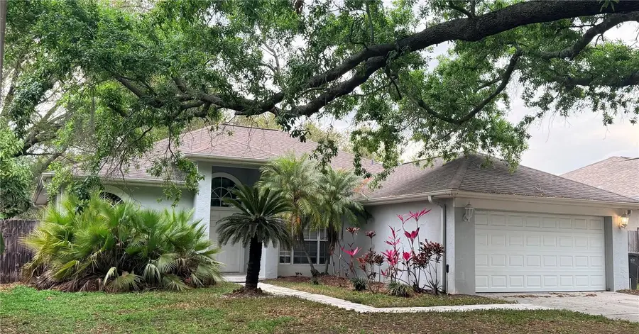 3820 Cypress Meadows Road, Tampa, FL 33624 - #2