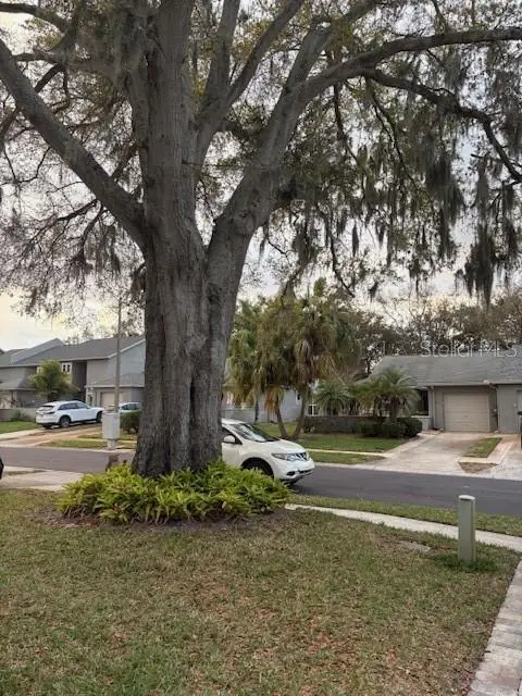 159 Hunter Court, Palm Harbor, FL 34684 - #3