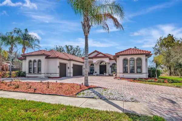 1022 Emerald Creek Drive, VALRICO, FL 33596