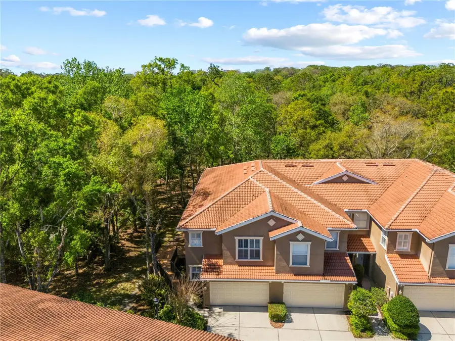 4926 Anniston Circle, Tampa, FL 33647 - #3