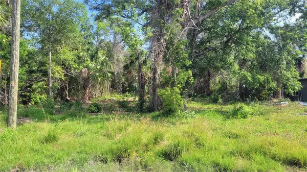 Lot 40 Needles Drive, HUDSON, FL 34667