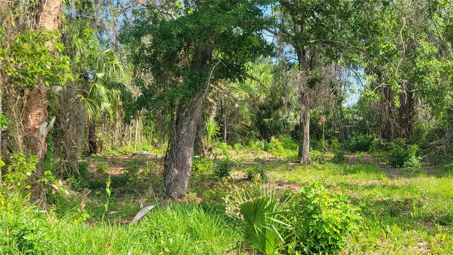 Lot 40 Needles Drive, Hudson, FL 34667 - #2