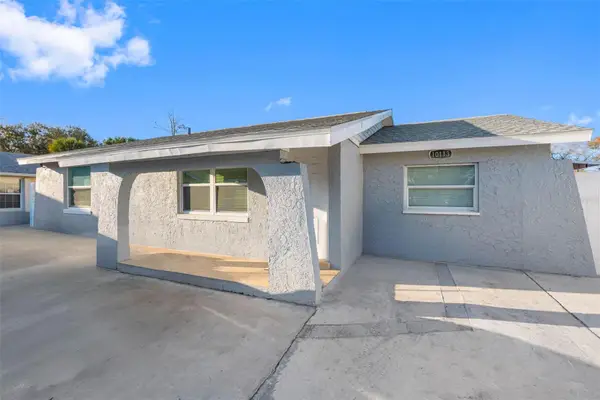 10113 Royal Acres Court, TAMPA, FL 33615